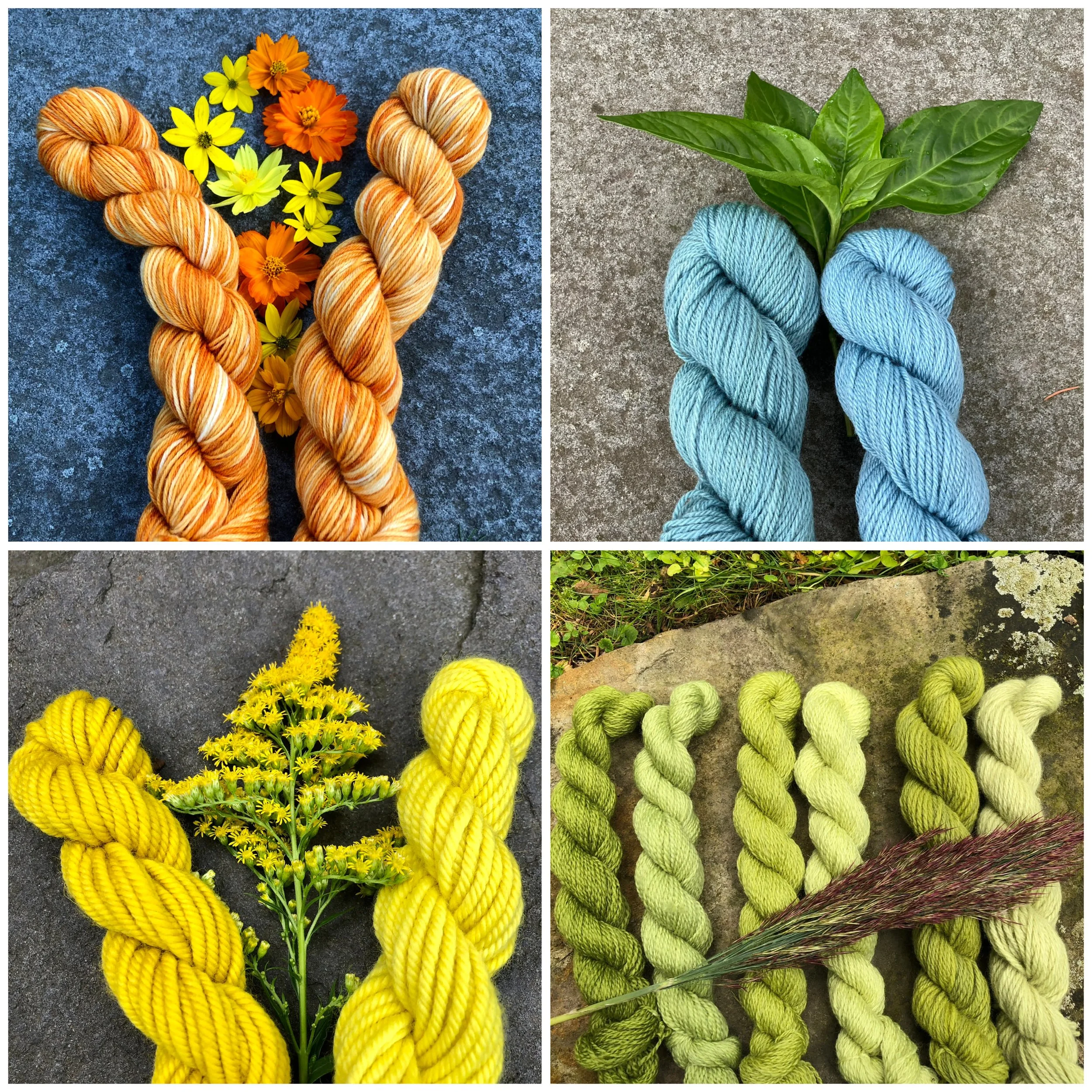 Natural Plant Dye Workshop 