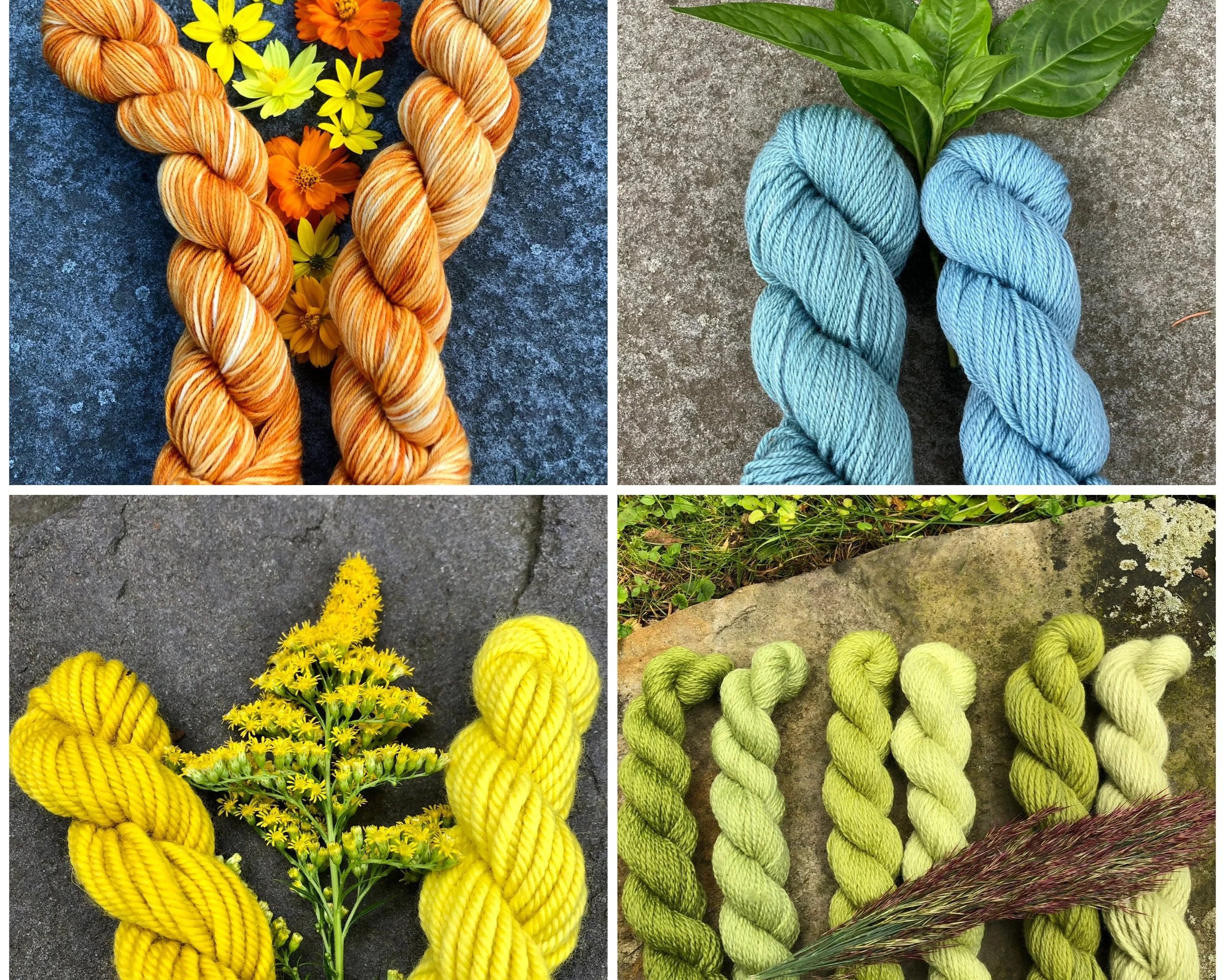Natural Plant Dye Workshop 