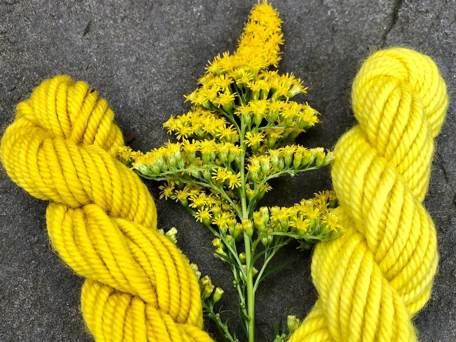 Plant Dye Workshop 