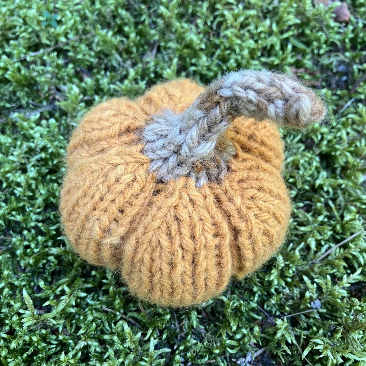 Pumpkin #15.jpg