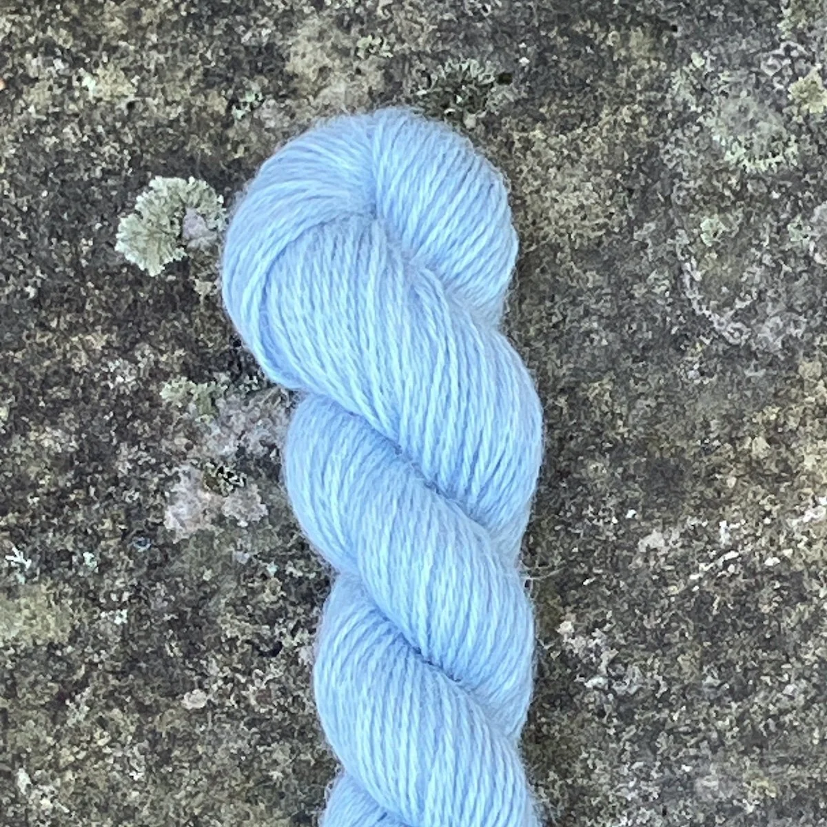 1. 2025_45 Fresh Indigo.jpg