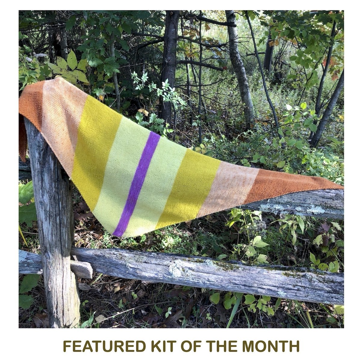 Bandini KIt Feature.jpg