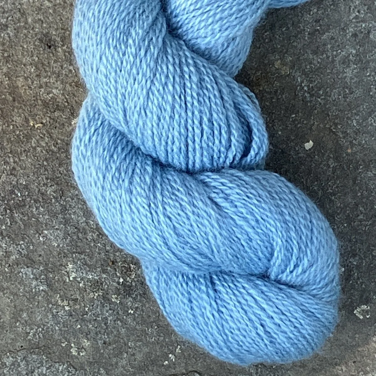21. 2024_57 F-Indigo.jpg