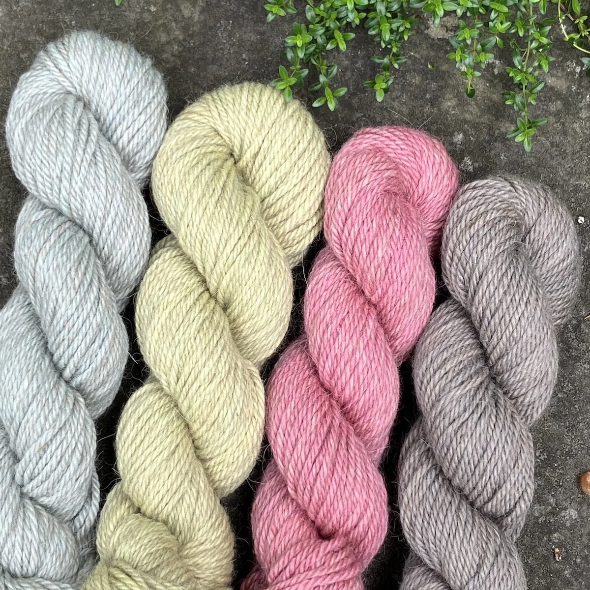 Battenkill Worsted (tan).jpg