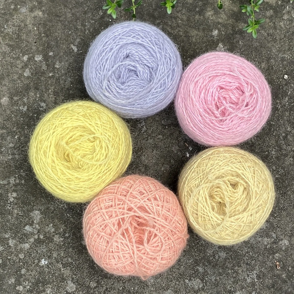 Alpaca Lace Group.jpg