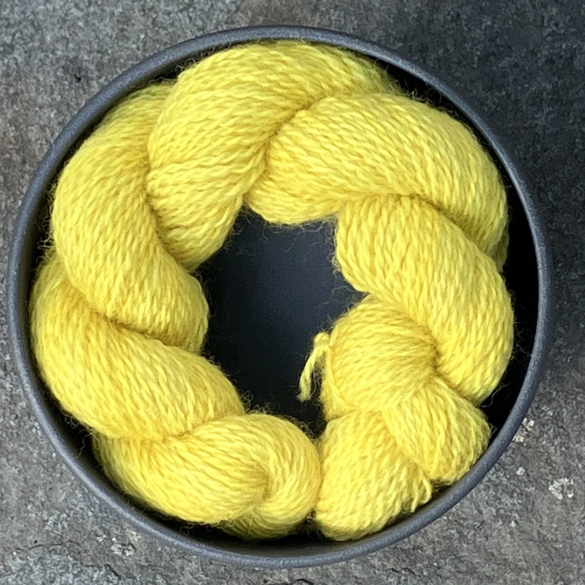 5. 2024_55 Goldenrod.jpg