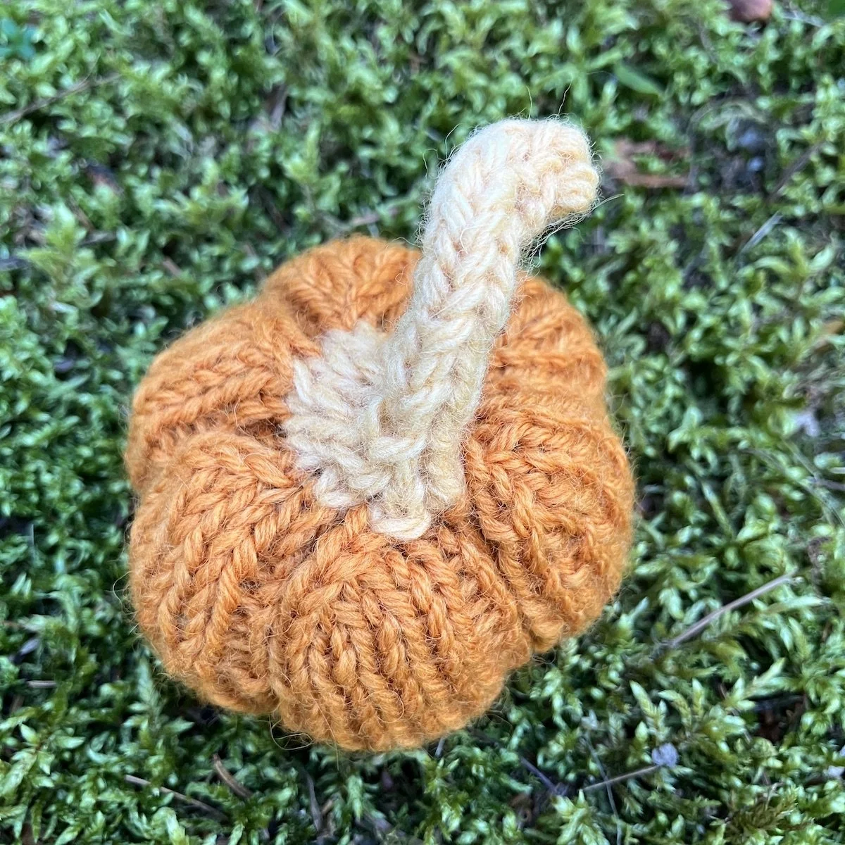 Pumpkin #16.jpg