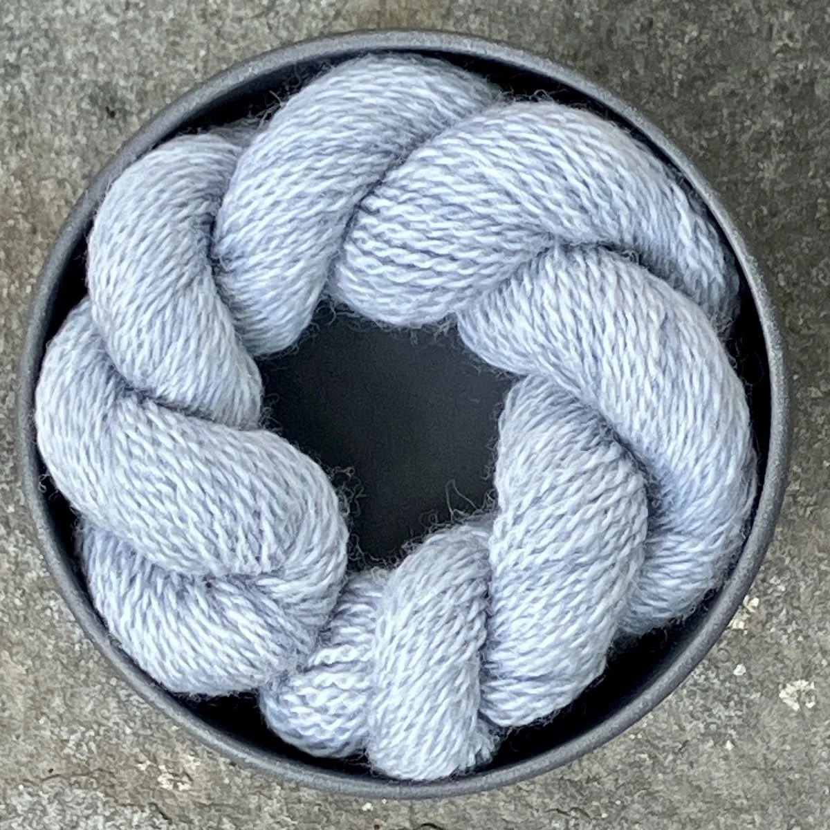 3. 2024_32b Logwood.jpg