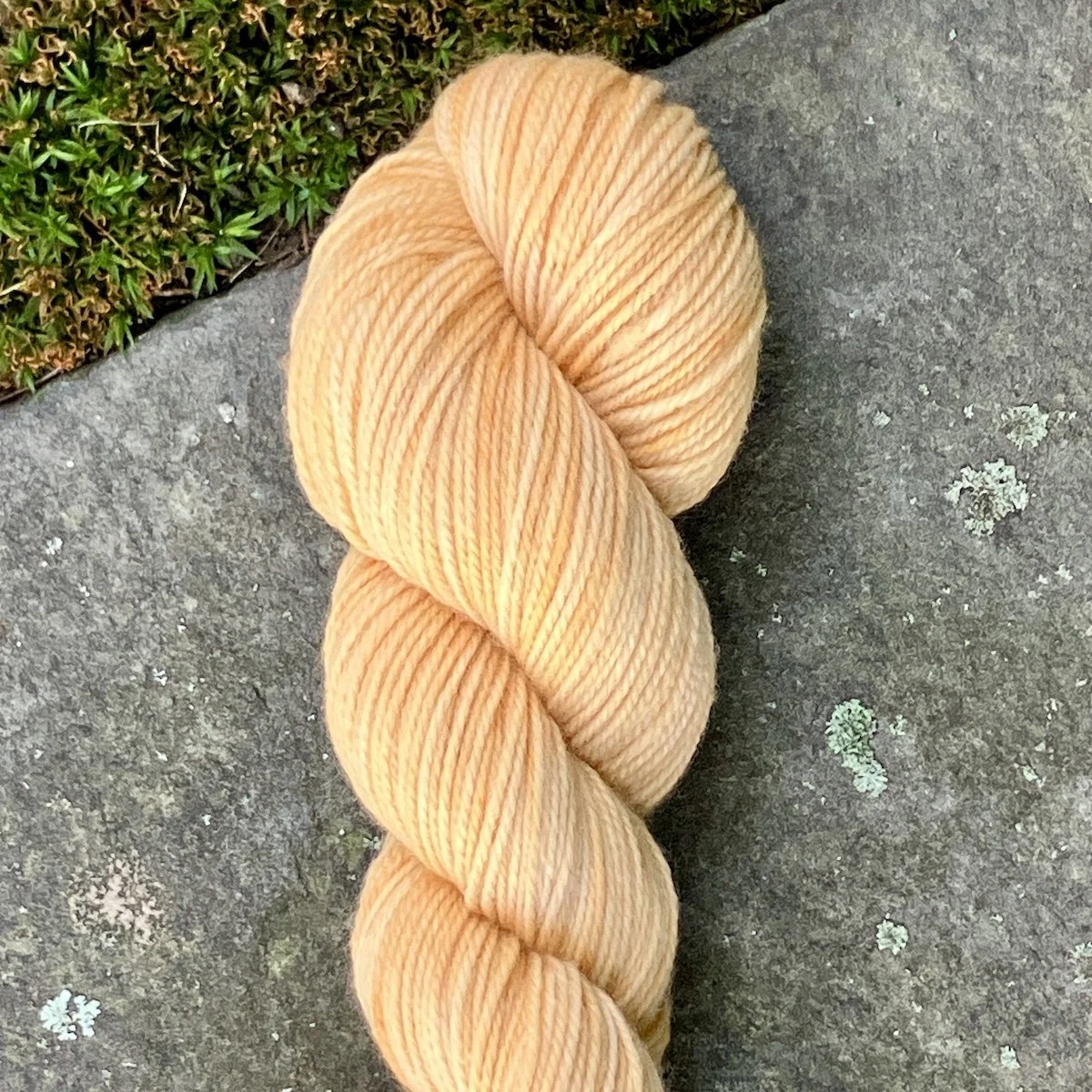 (2025_67) SC+DC SolarDye.jpg