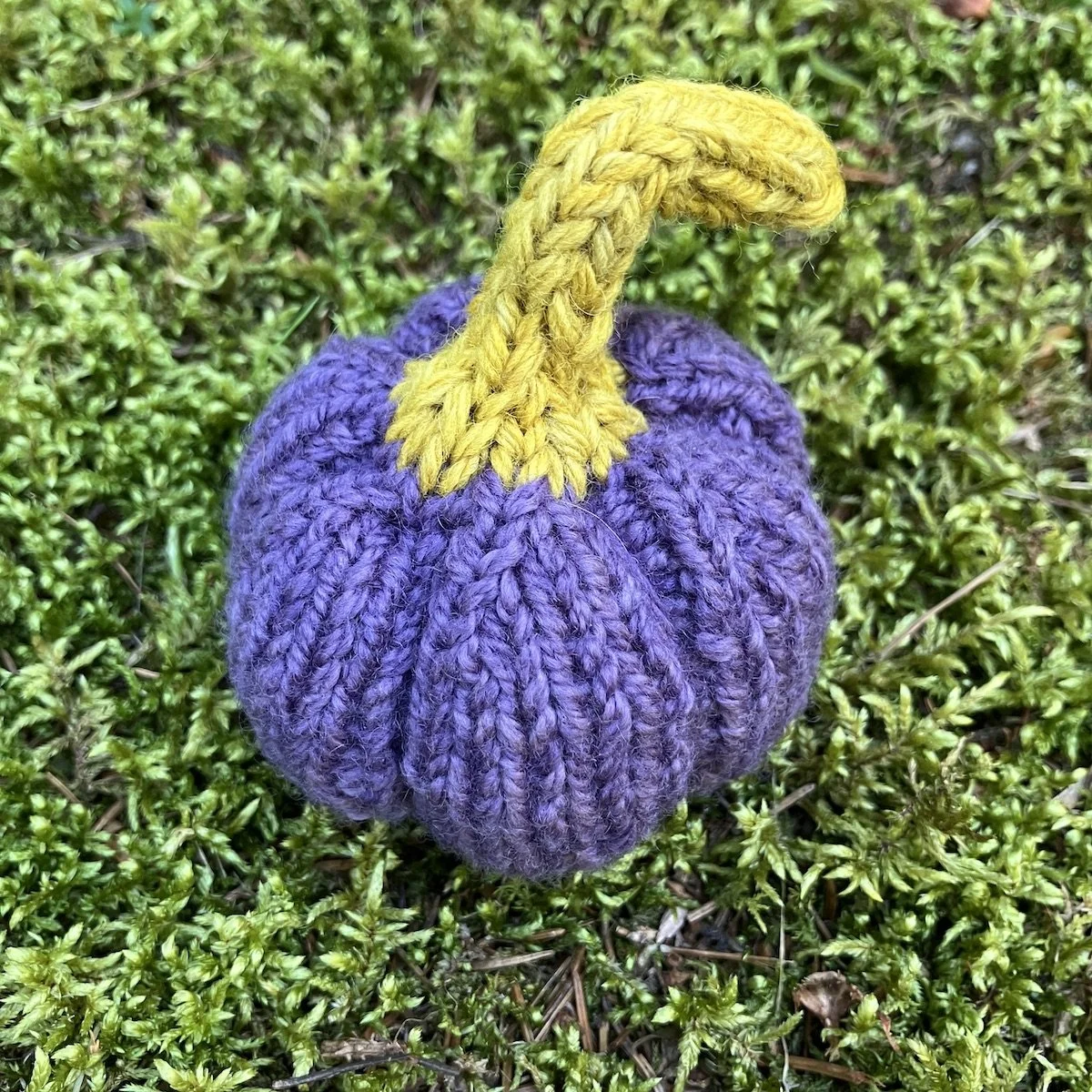 Pumpkin #21.jpg