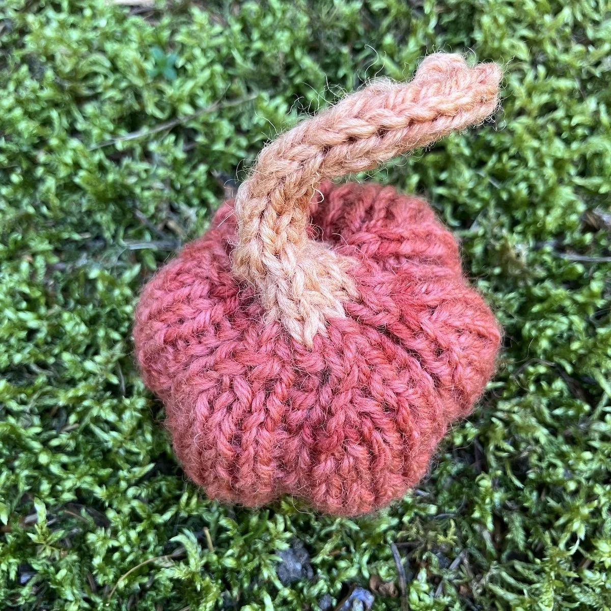 Pumpkin #14.jpg