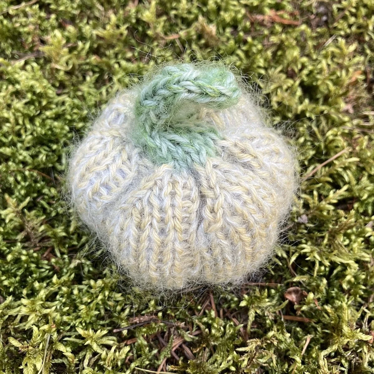 Pumpkin #19.jpg