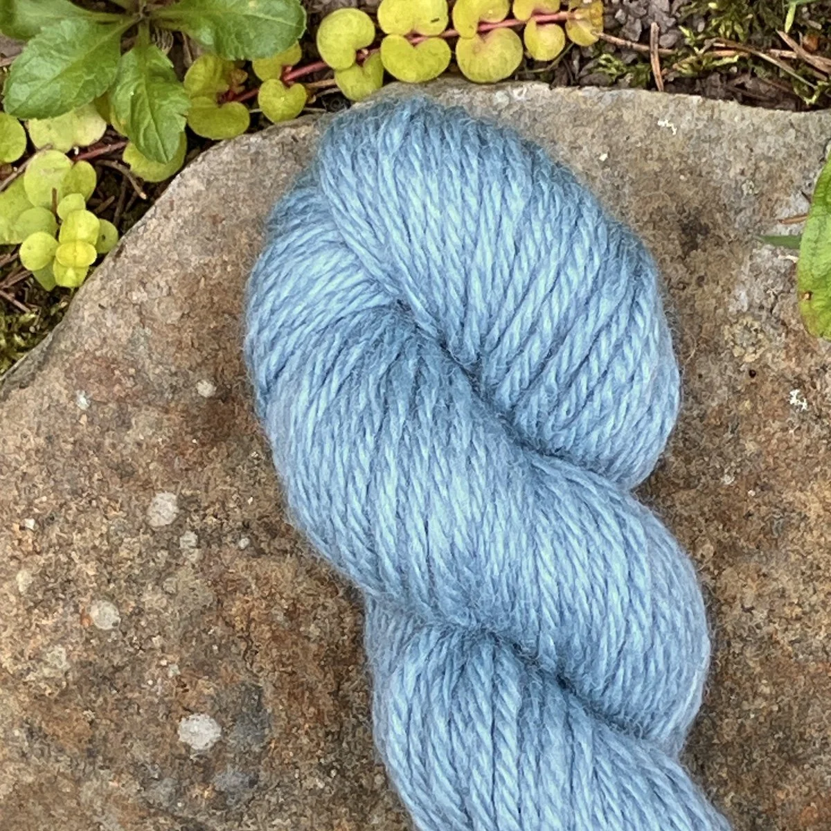 (2025_48) Fresh Indigo.jpg