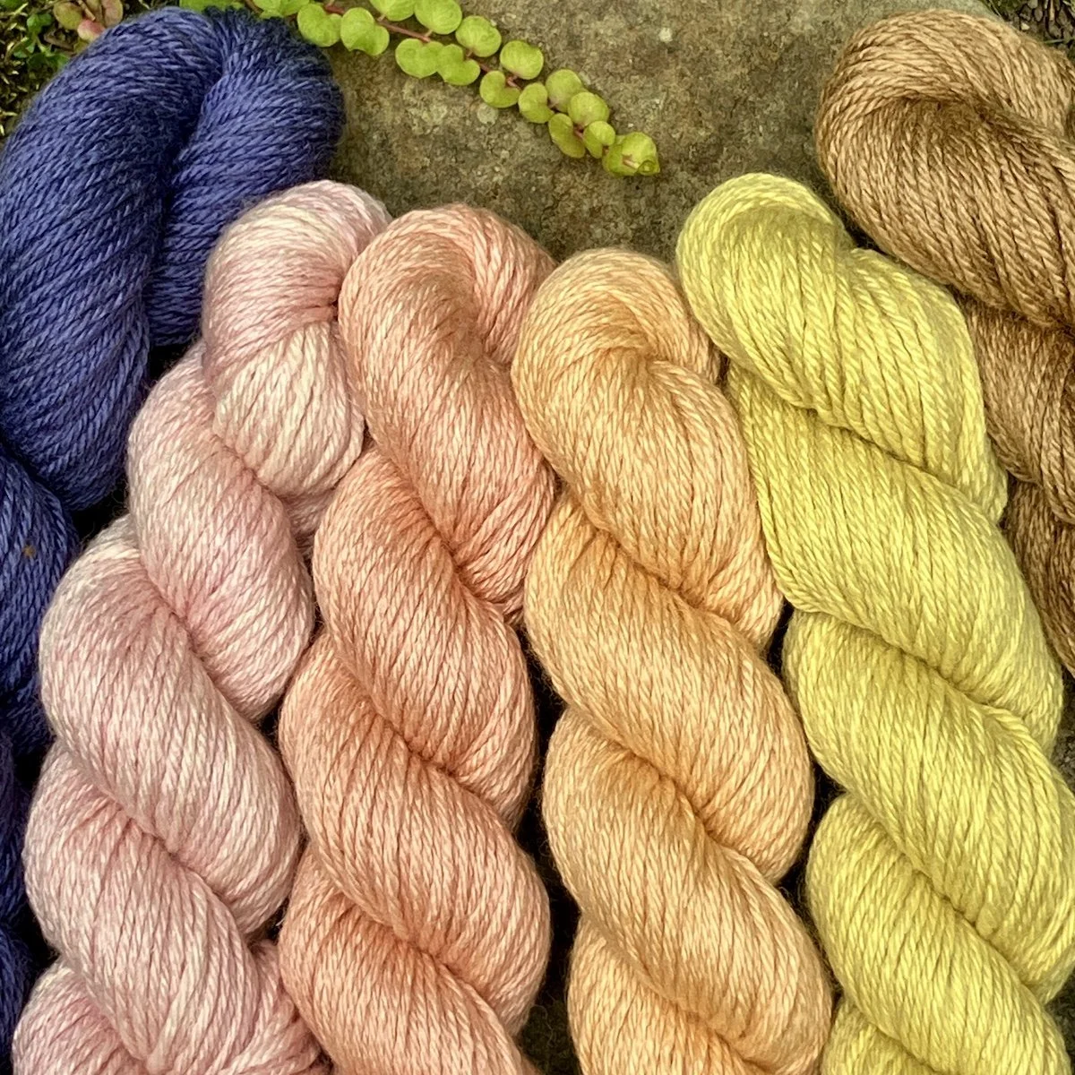 MerinoSilk DK Group.jpg