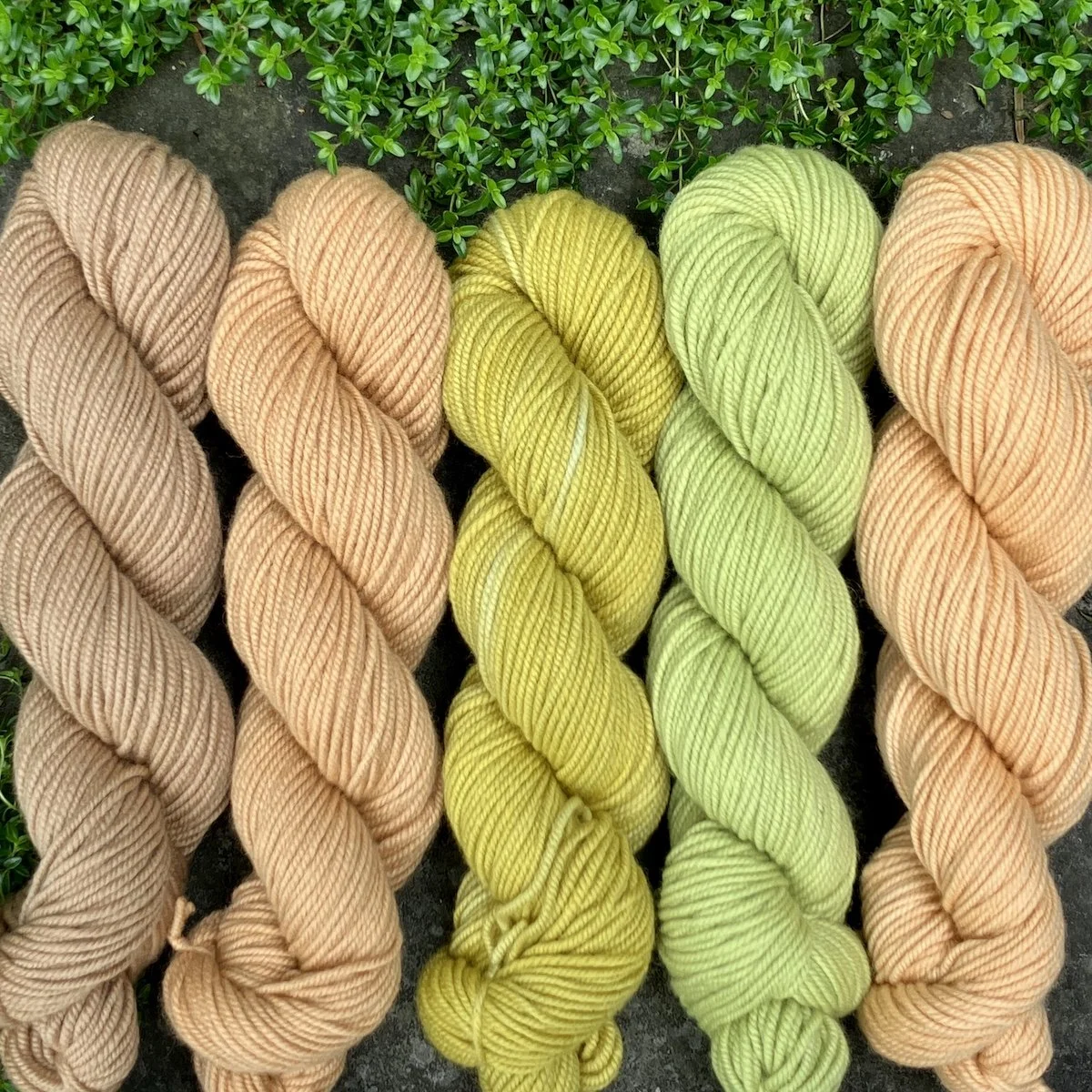 100%AmWool-DK.jpg