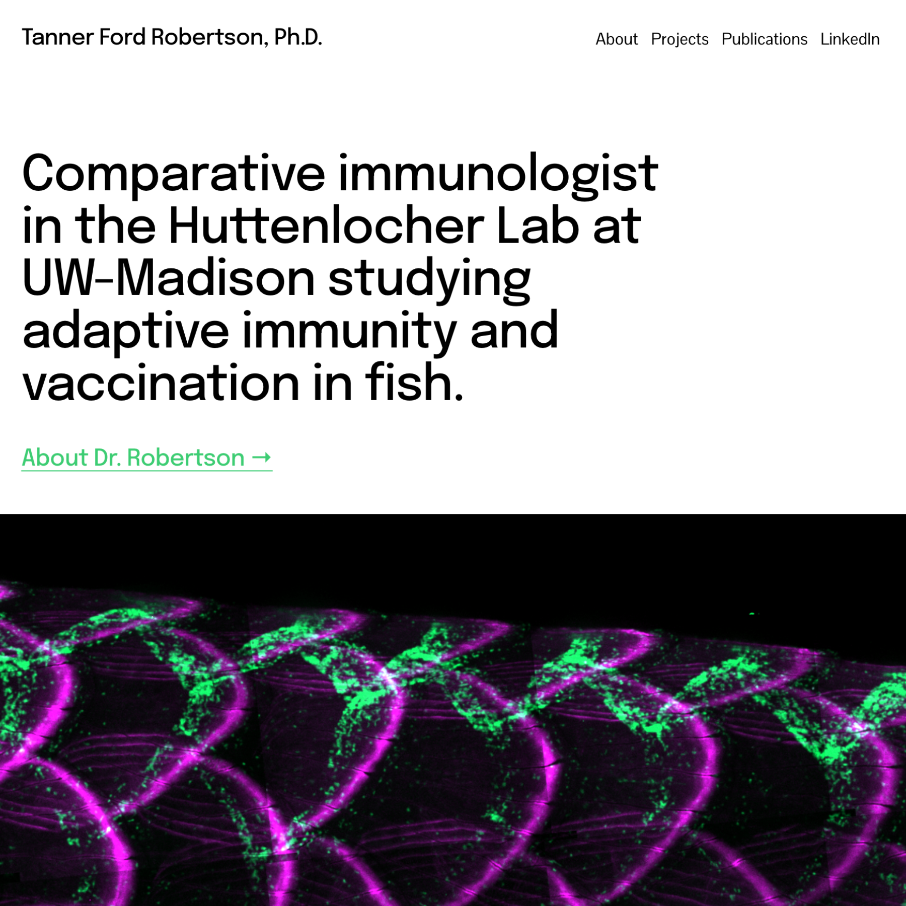 Untitled design (30).png