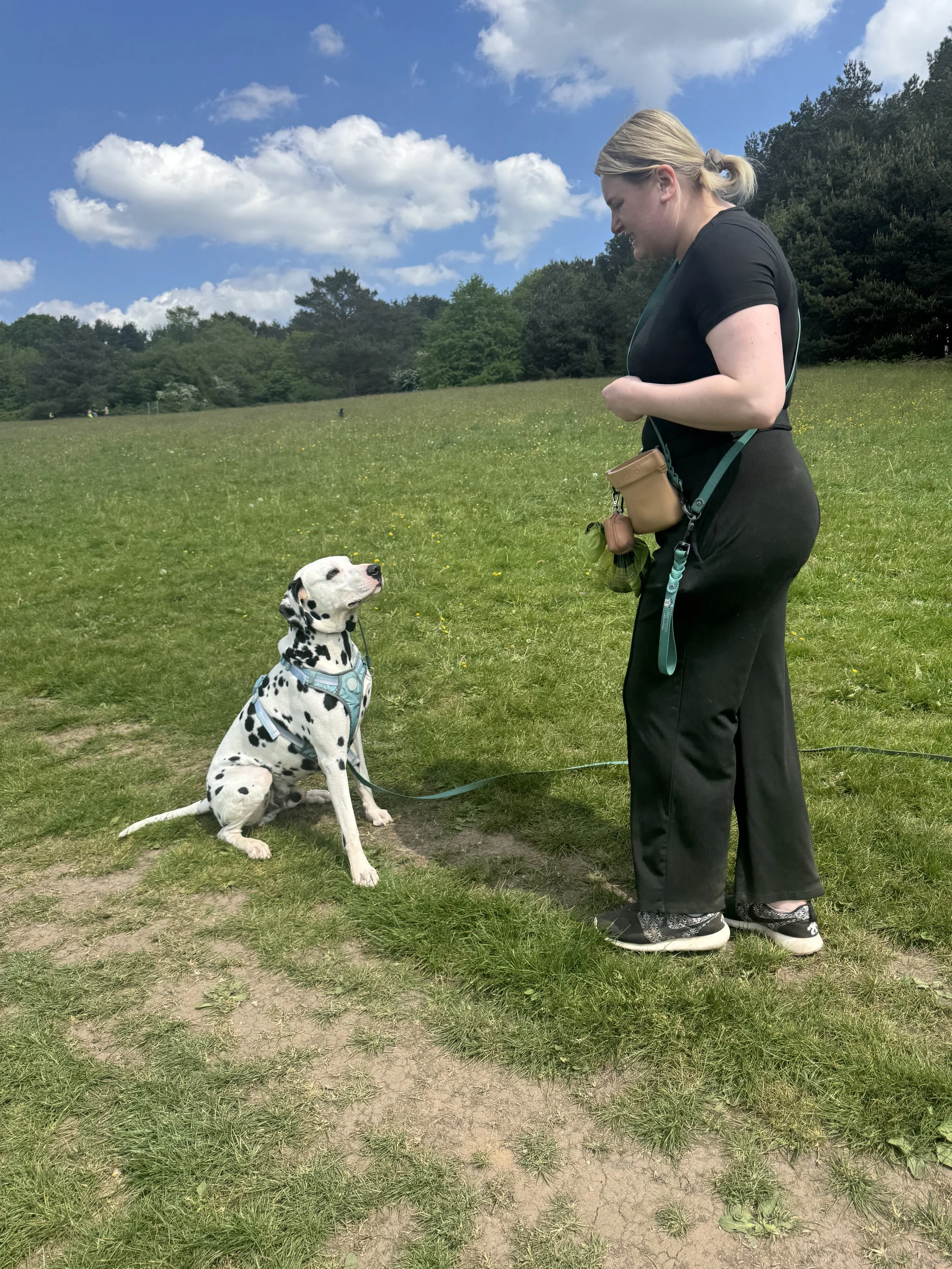 Longton Park Pack Walk