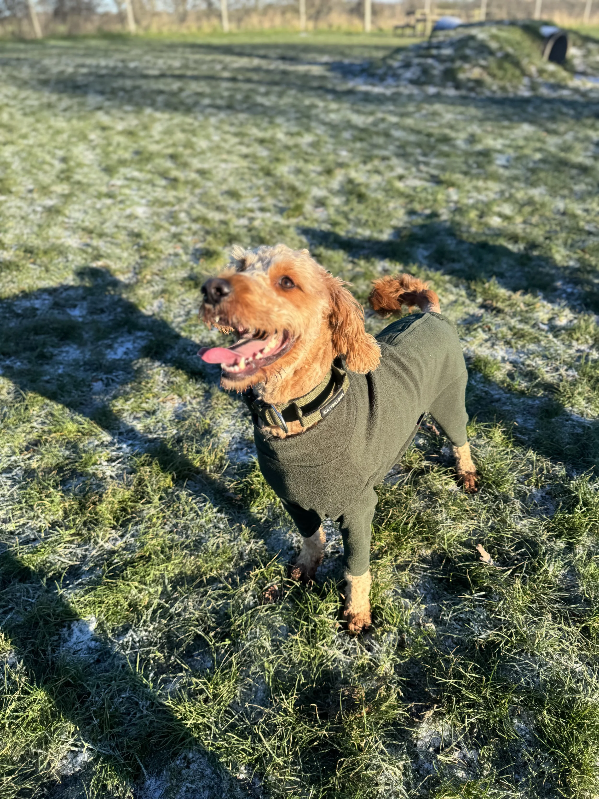 Stone Meadow & Canal Pack Walk