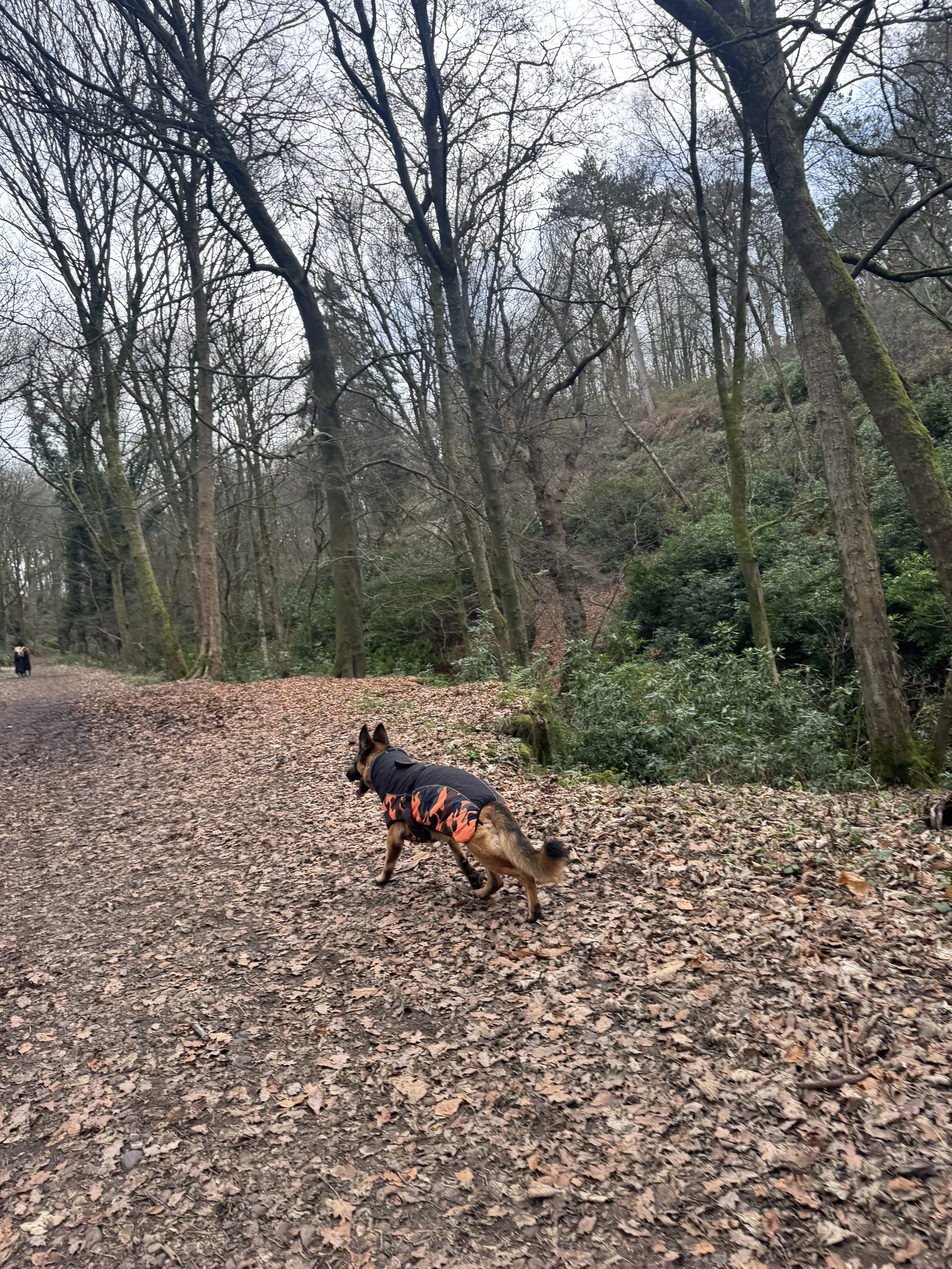 Consall Valley Nature Reserve Pack Walk