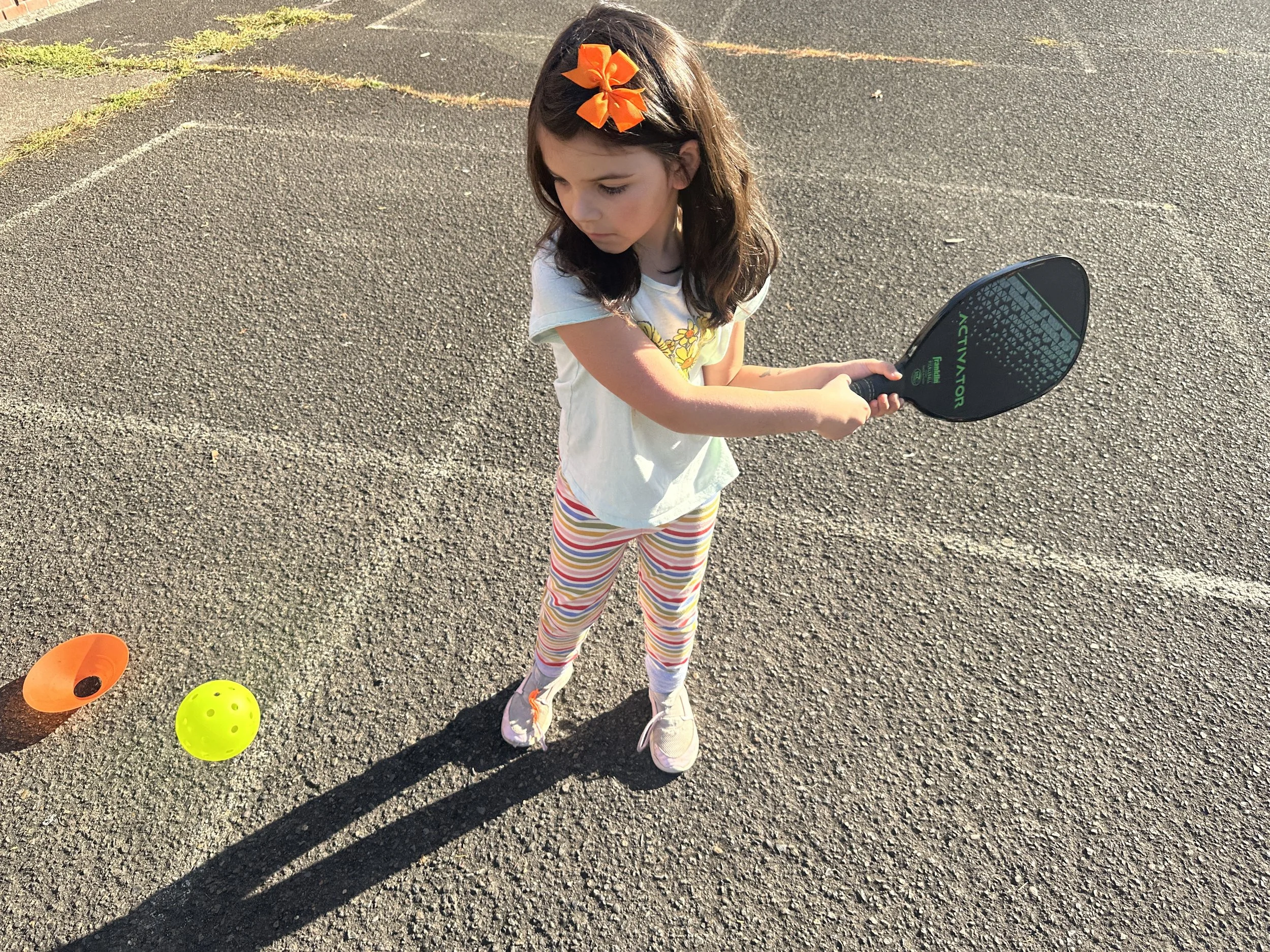 Forest Hills Pickleball L.JPG