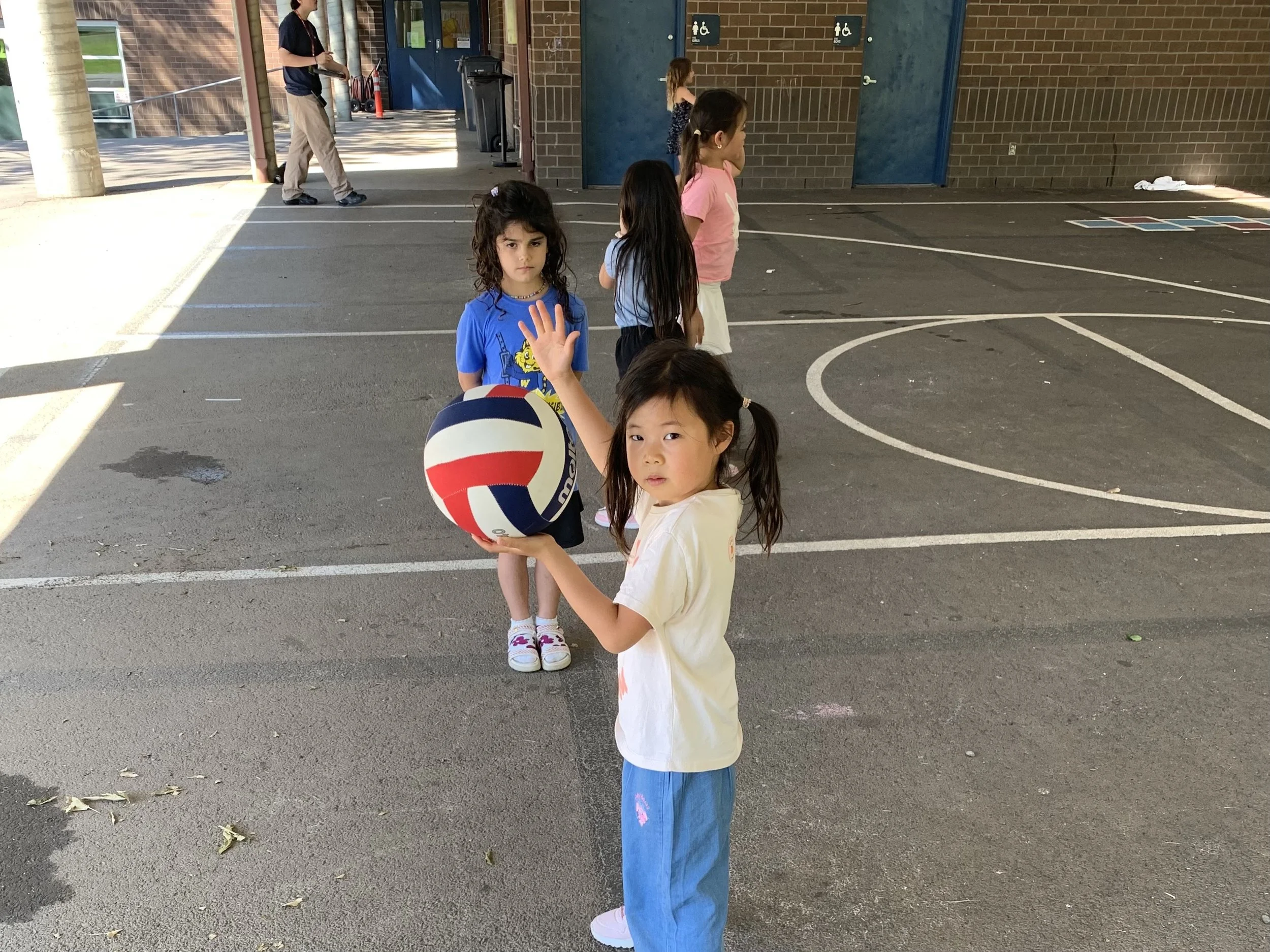 Volleyball Line.jpg