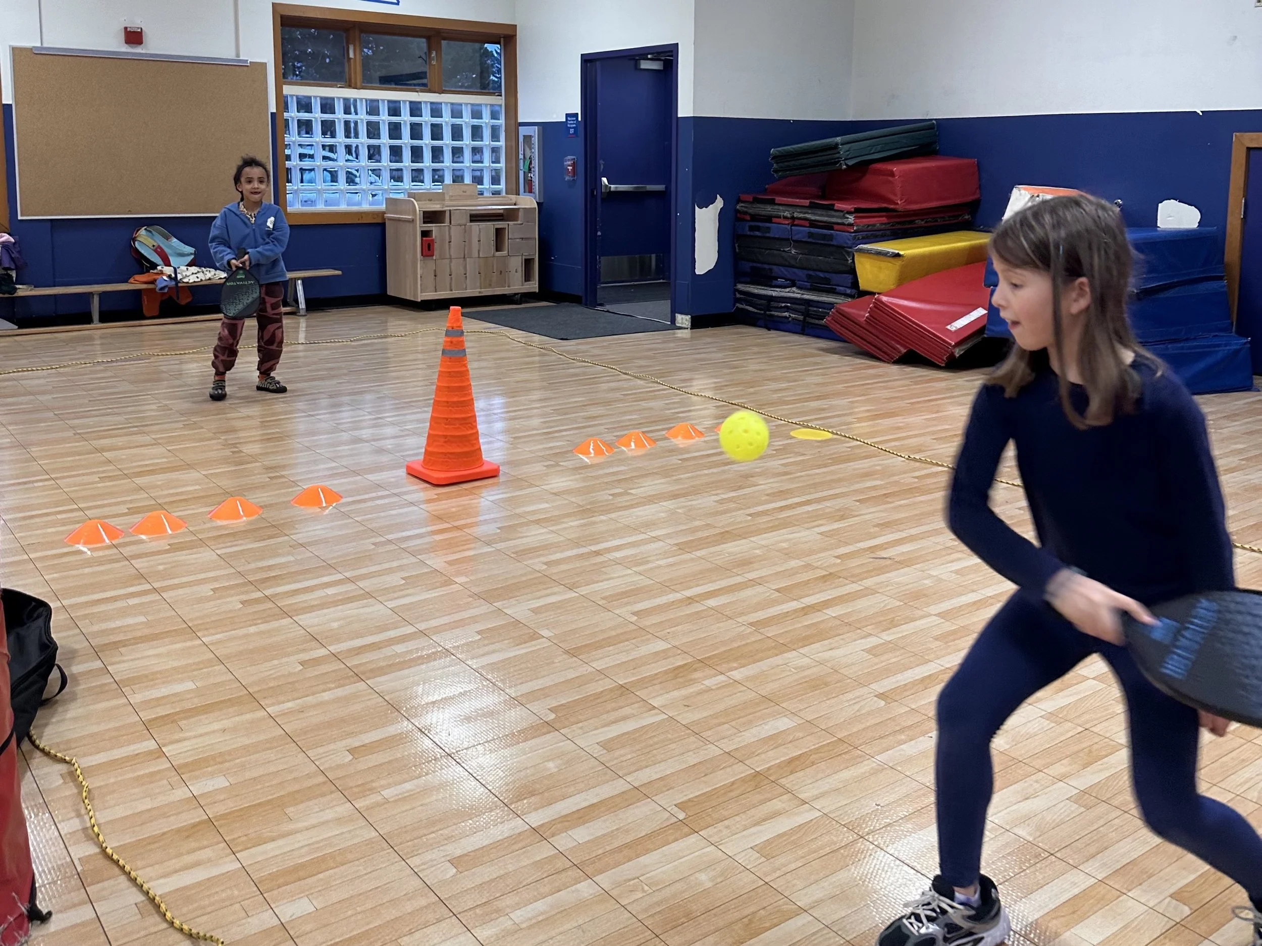 FI Pickleball Backhand L.jpg