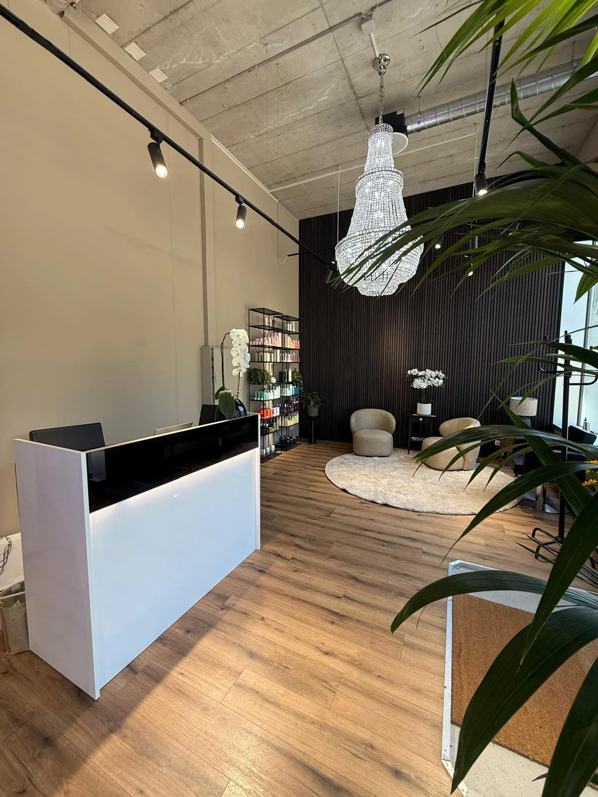 Salon Hegi 6.jpeg