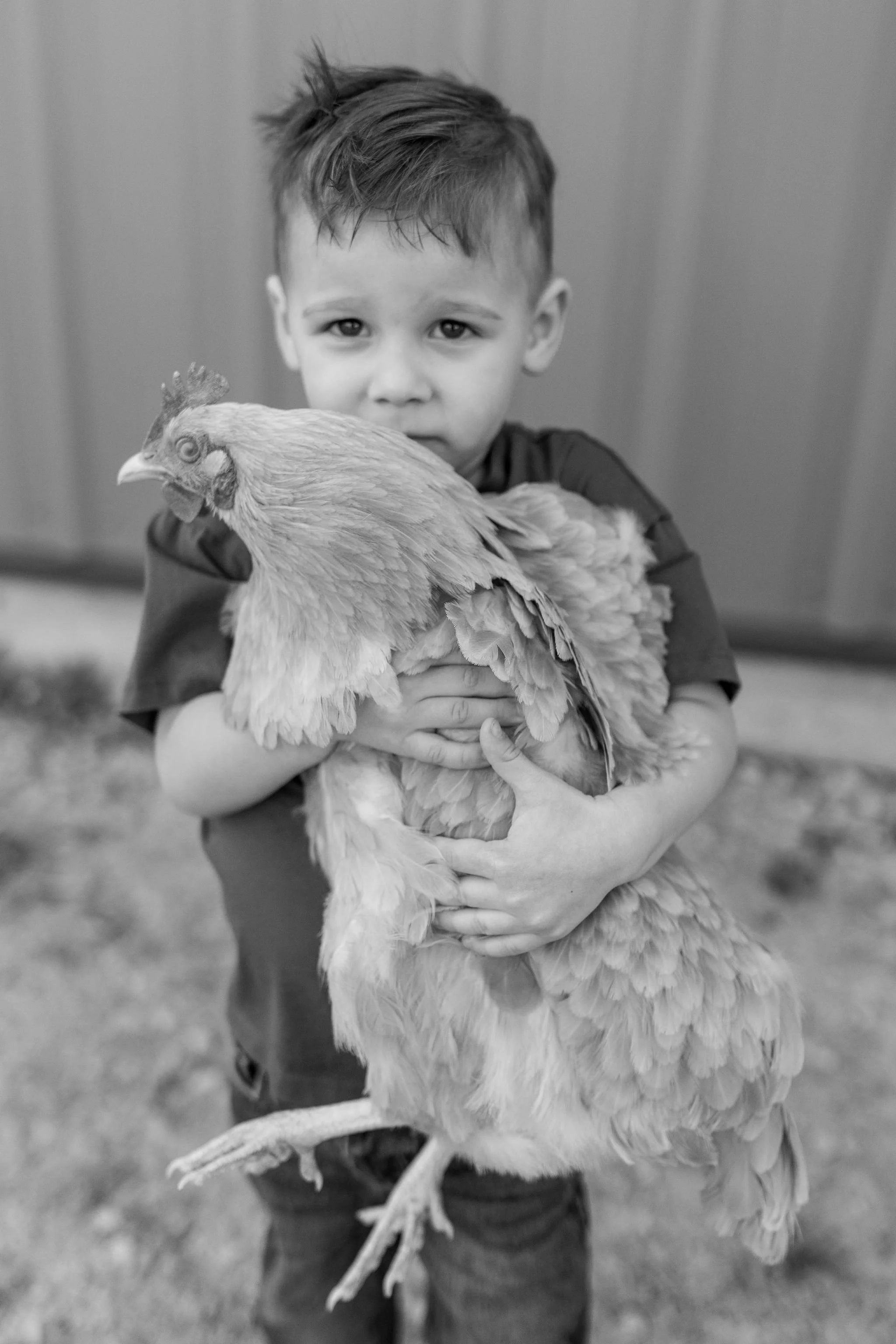 A young boy holding a large chicken.