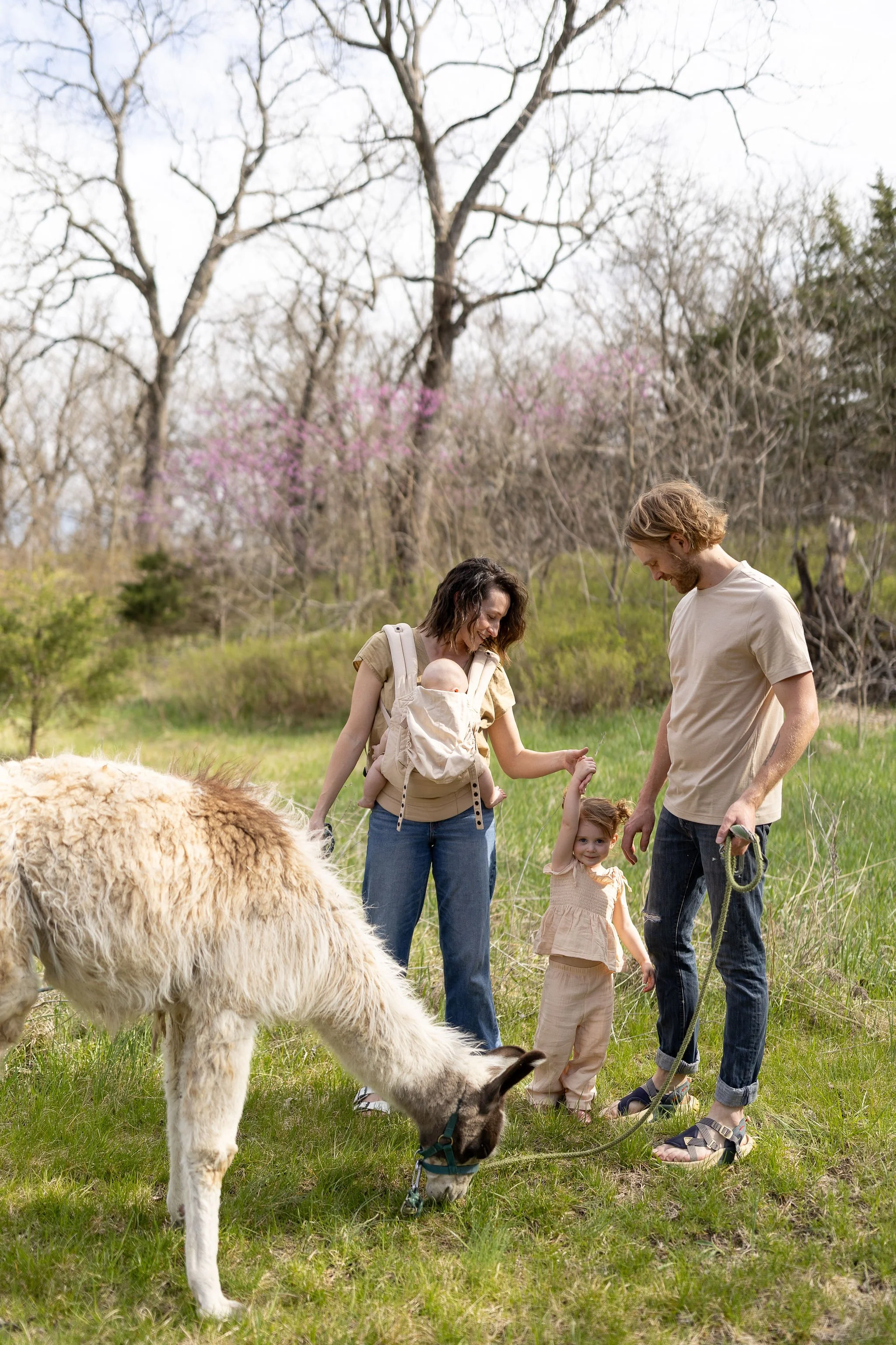 A family of four, including a woman with a baby in a carrier, a man, and a young girl, standing in a grassy field with a llama. The woman and girl are smiling, and the man is holding a leash. Trees and budding flowers are in the background.