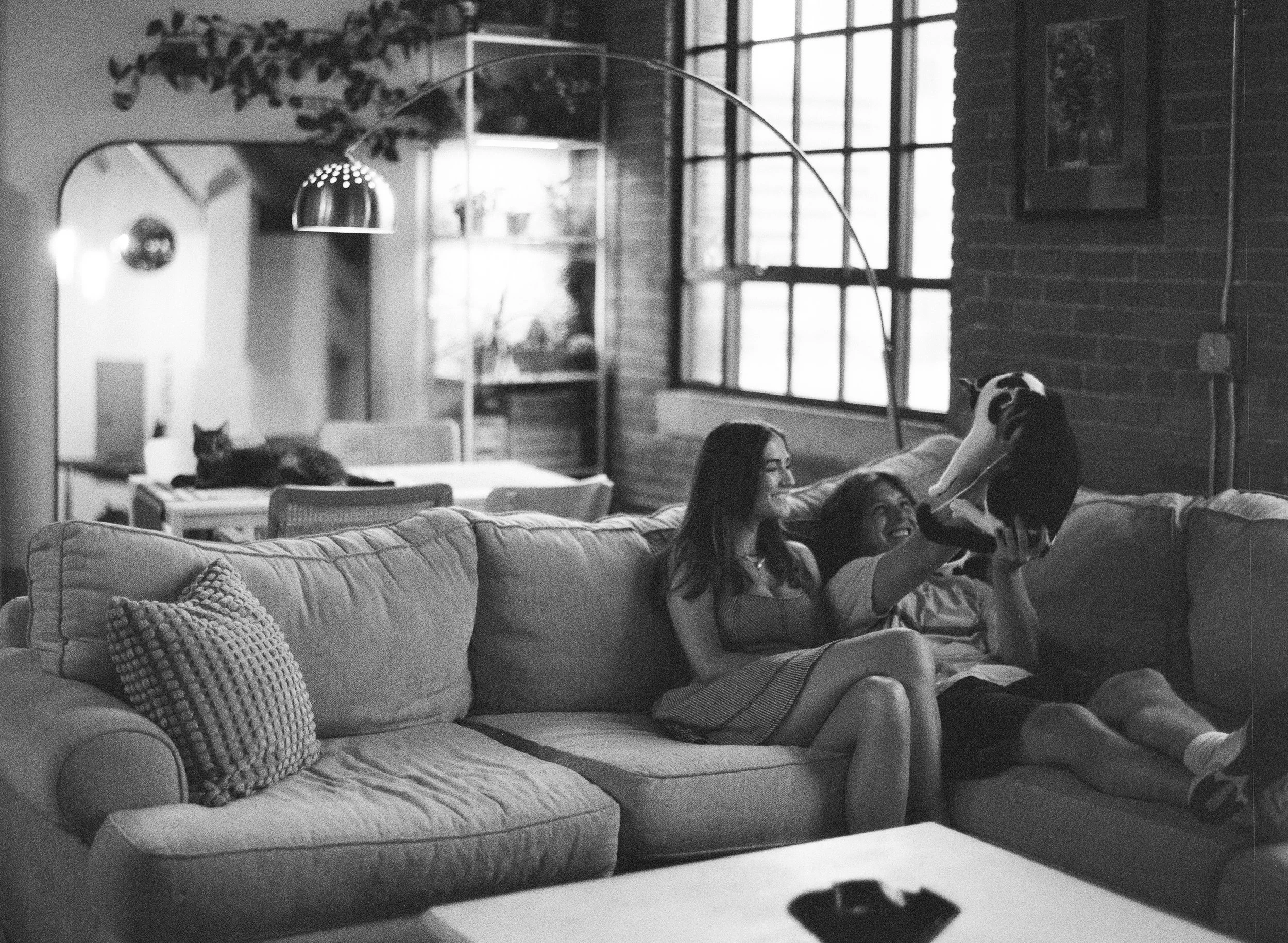 A couple sitting on a sofa, playing with a dog in a cozy, modern living room with large windows and brick walls, a cat resting on a dining table in the background, and a floor lamp illuminating the space.