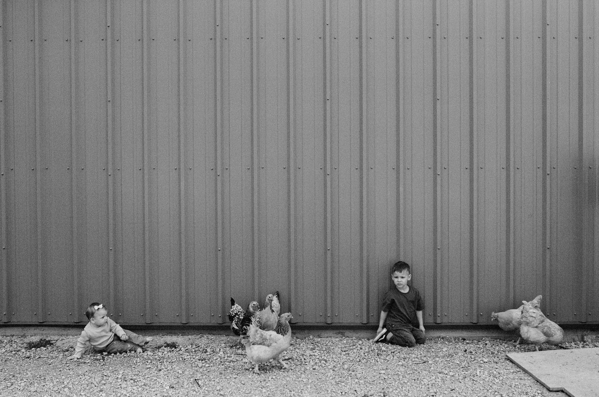 Two children sitting on gravel ground next to chickens against a metal wall.