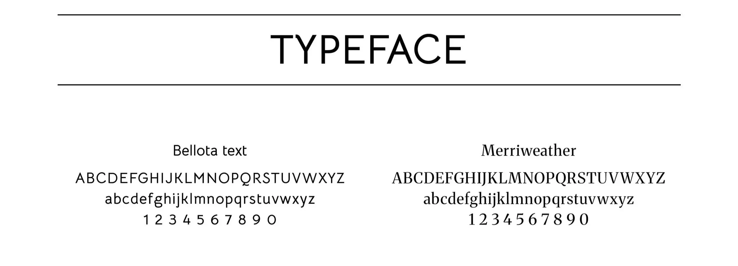 Branding%2BPortfolio7.jpg