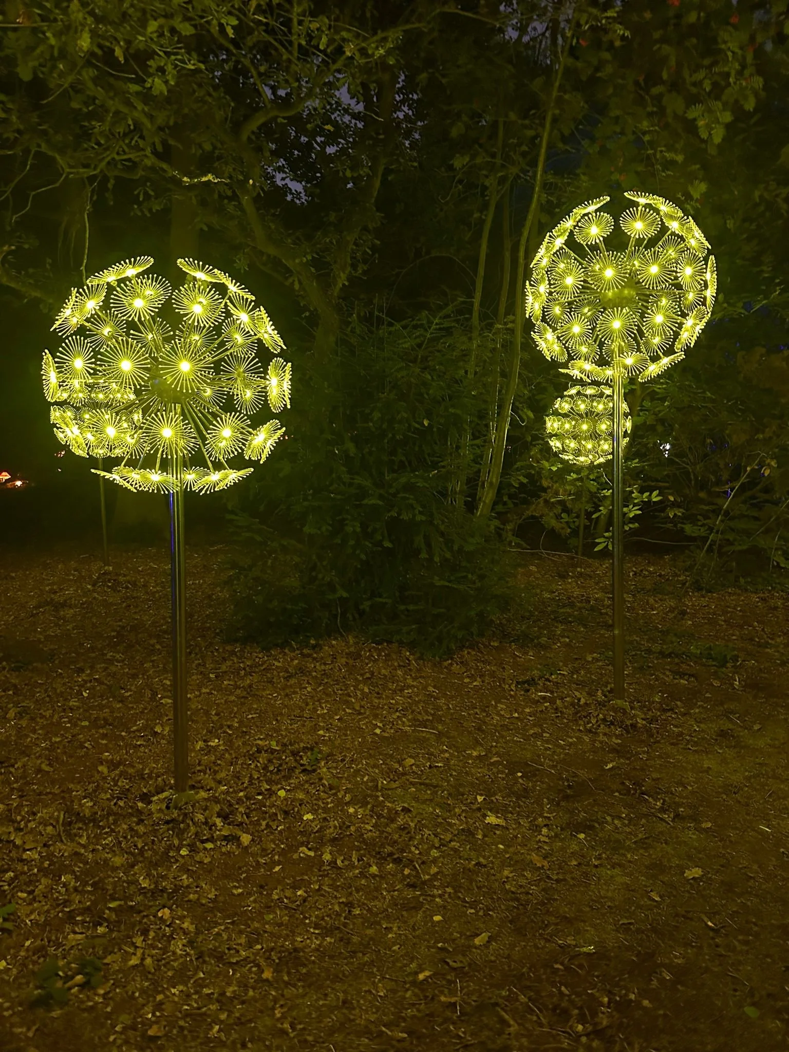 Torchlight Light Trial - Twelve34 Productions 9.jpg