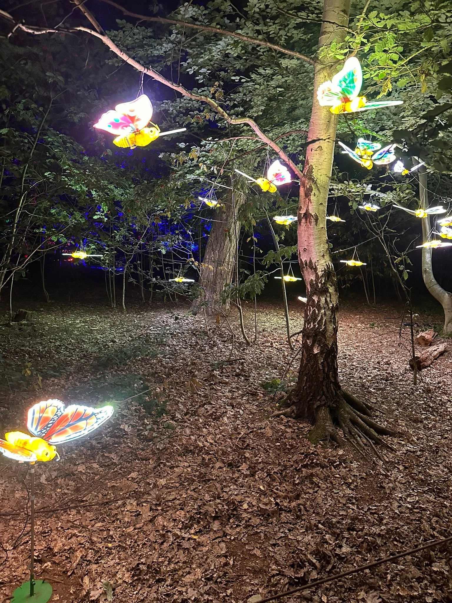 Torchlight Light Trial - Twelve34 Productions 7.jpg