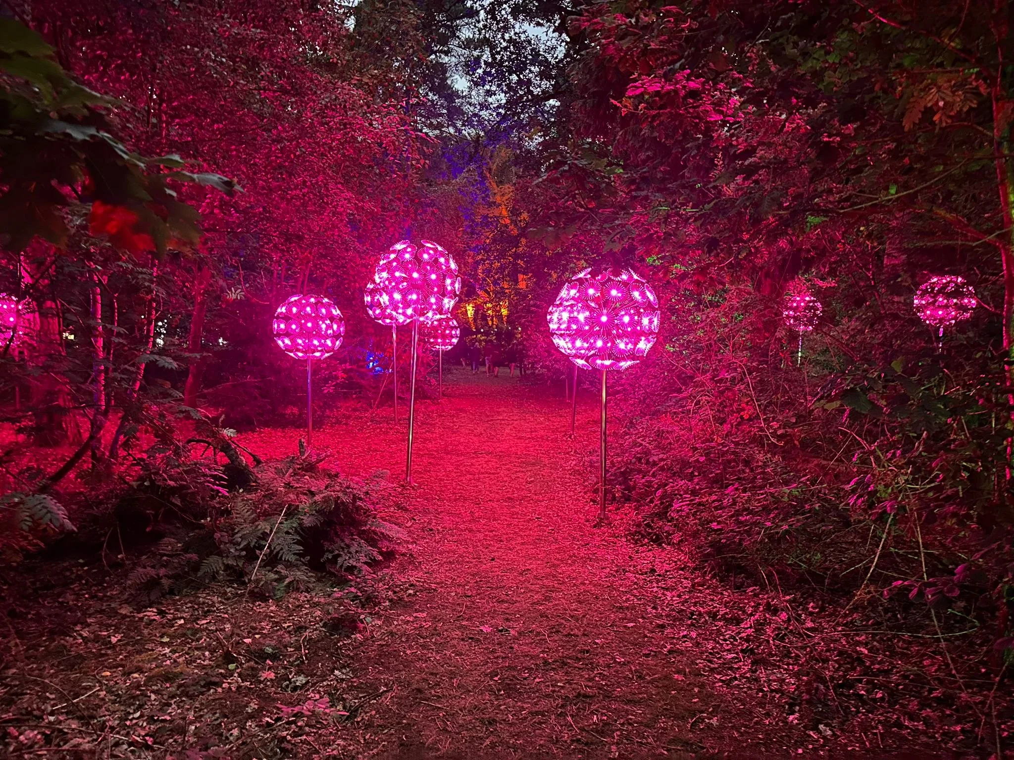 Torchlight Light Trial - Twelve34 Productions 13.jpg