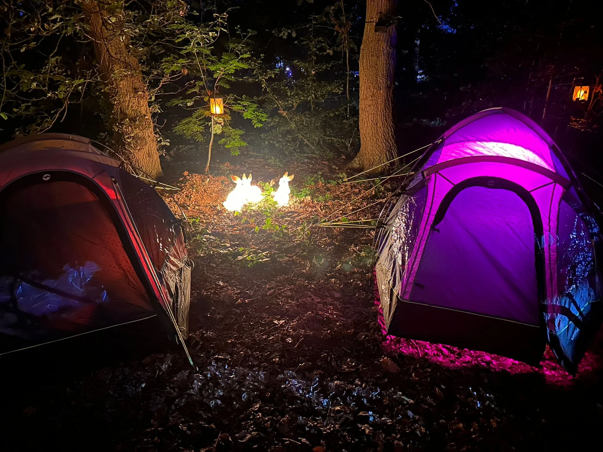 Torchlight Light Trial - Twelve34 Productions 4.jpg