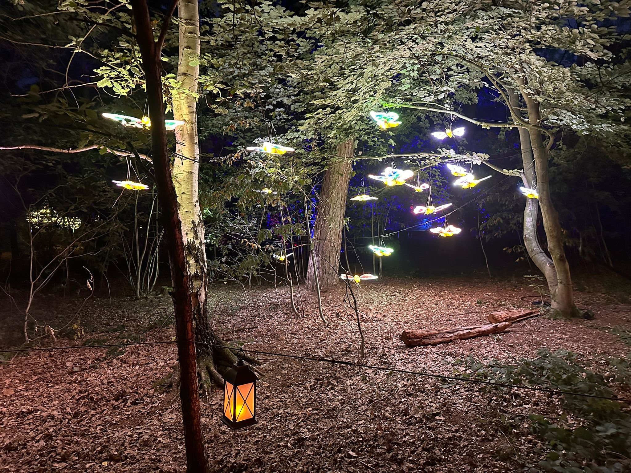 Torchlight Light Trial - Twelve34 Productions 3.jpg