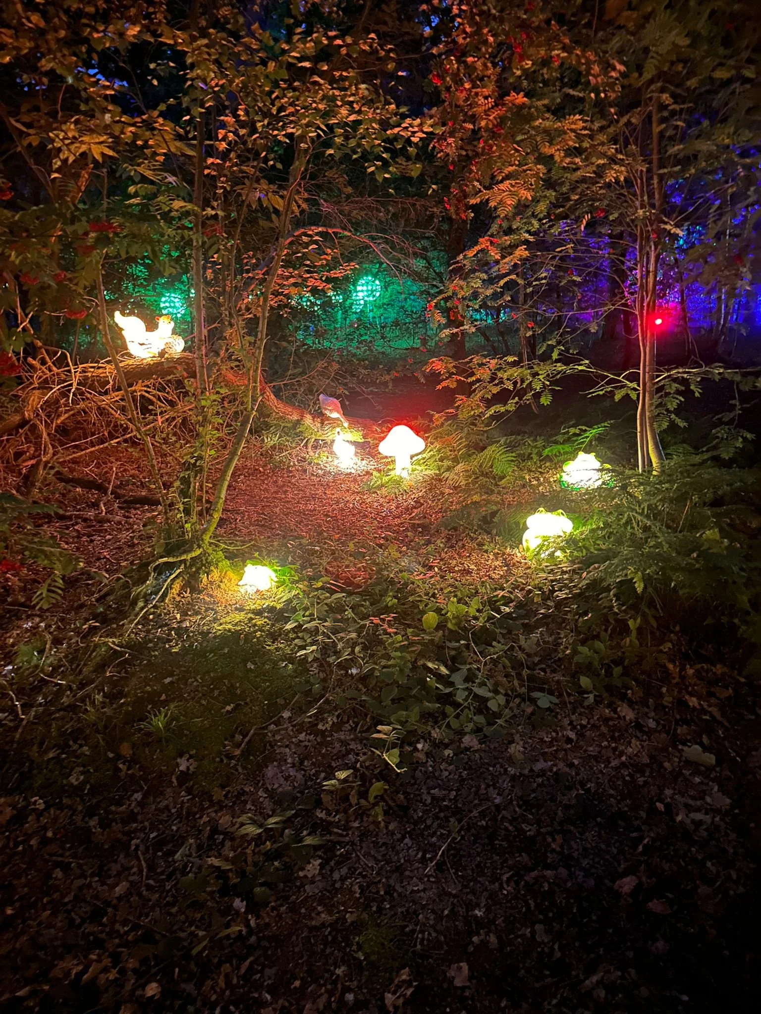 Torchlight Light Trial - Twelve34 Productions 8.jpg