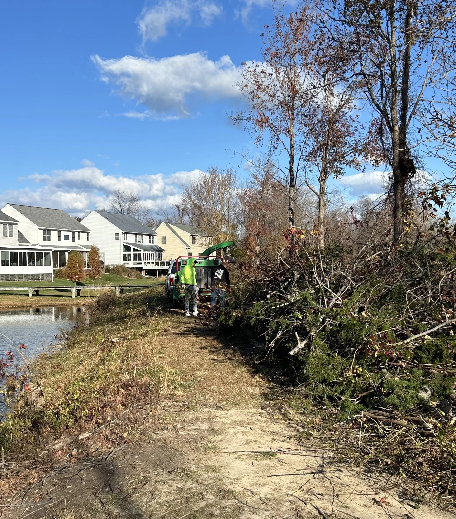 Tree Chipping.jpg