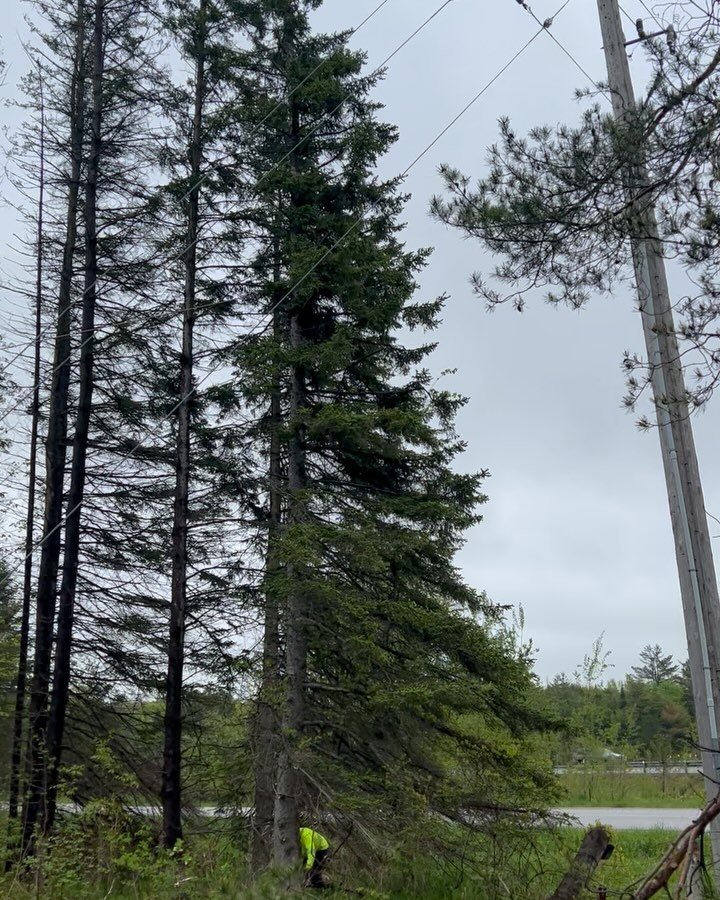 Keep on keeping on. Thank you to the SL crew @allyharris54 @thegracefultrout for pushing on through this shit weather. As the mud got deeper, the vibe stayed high! Does anyone know what the heck happened to Summer? I&rsquo;m looking at you Mother Nat