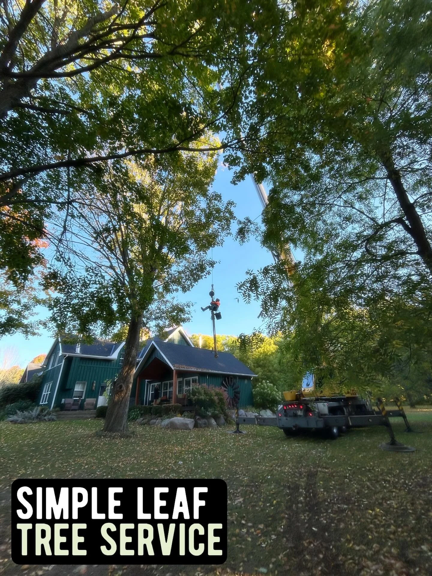 SL team getting it done this week. Completing a large job for the ski hill and straight into another big job with about 30 removals. I think everyone earned a turkey dinner this weekend! Happy Thanksgiving Georgian Bay 🦃 @allyharris54 @thegracefultr