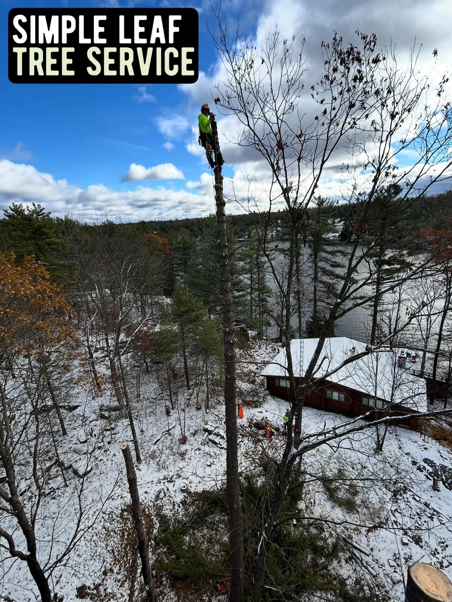 Fire damaged trees thanks to the ice storm! 🔥 What a push by the SL Crew today! Everyone pushed hard while the weather was decent to get this insurance job well underway. 💪🙌💪🙌 @stuartlorriman @allyharris54 @thegracefultrout
