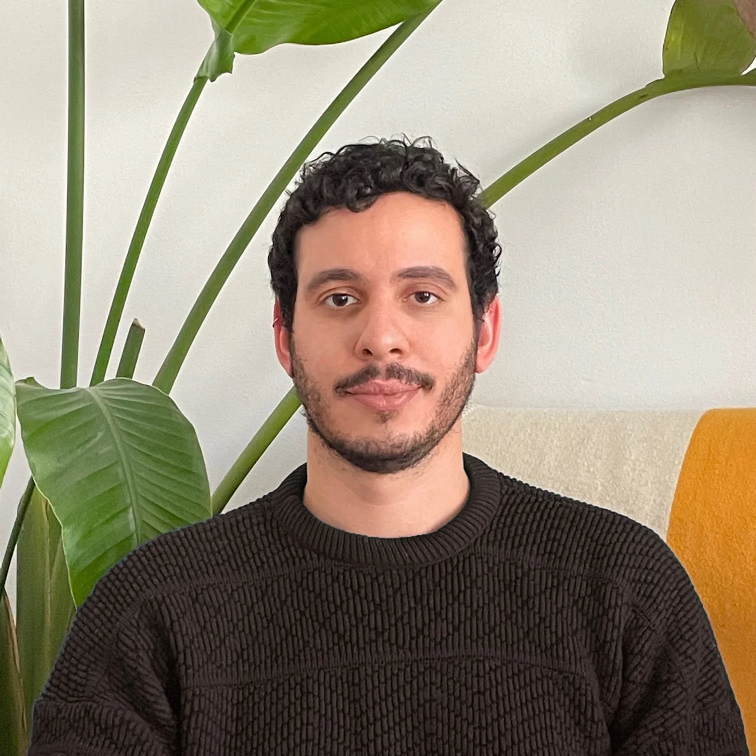 Man with curly hair and beard sitting indoors against a background of large green leaves, wearing a dark sweater.