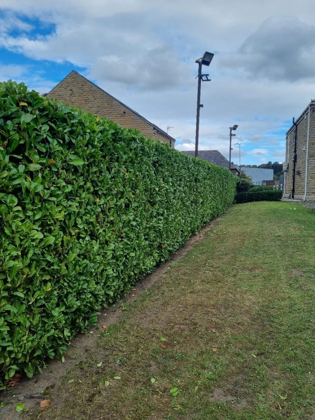 WhatsApp Image 2025-11-29 at 14.15.25 (12).jpeg