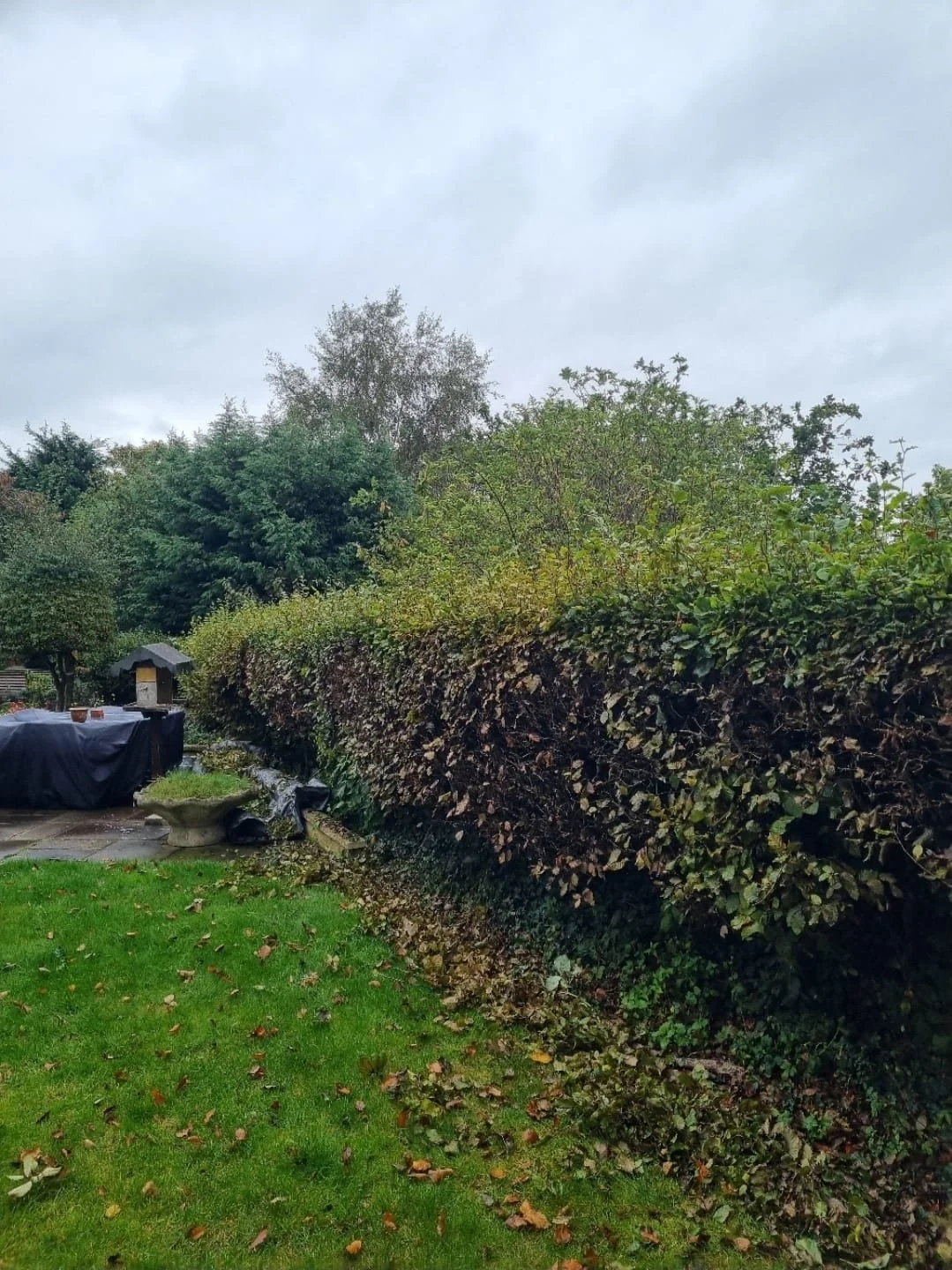 WhatsApp Image 2025-11-29 at 14.15.26 (5).jpeg