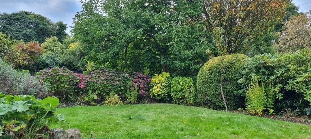 WhatsApp Image 2025-11-29 at 14.15.10 (1).jpeg