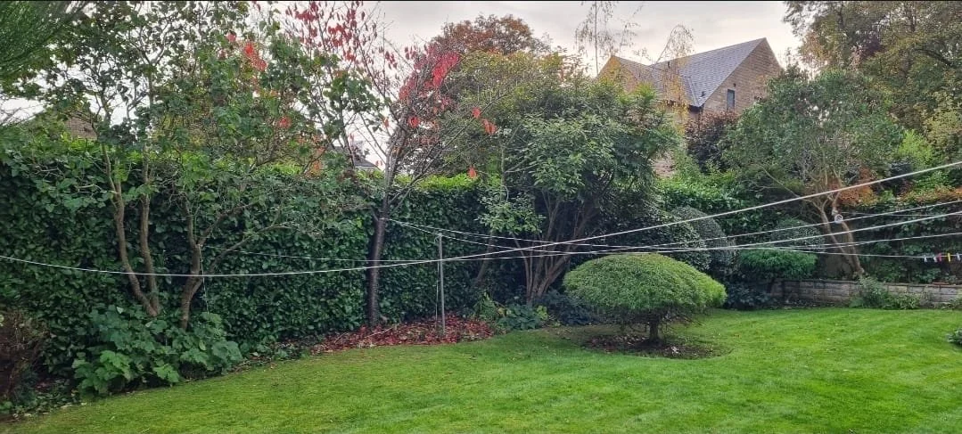 WhatsApp Image 2025-11-29 at 14.15.10.jpeg