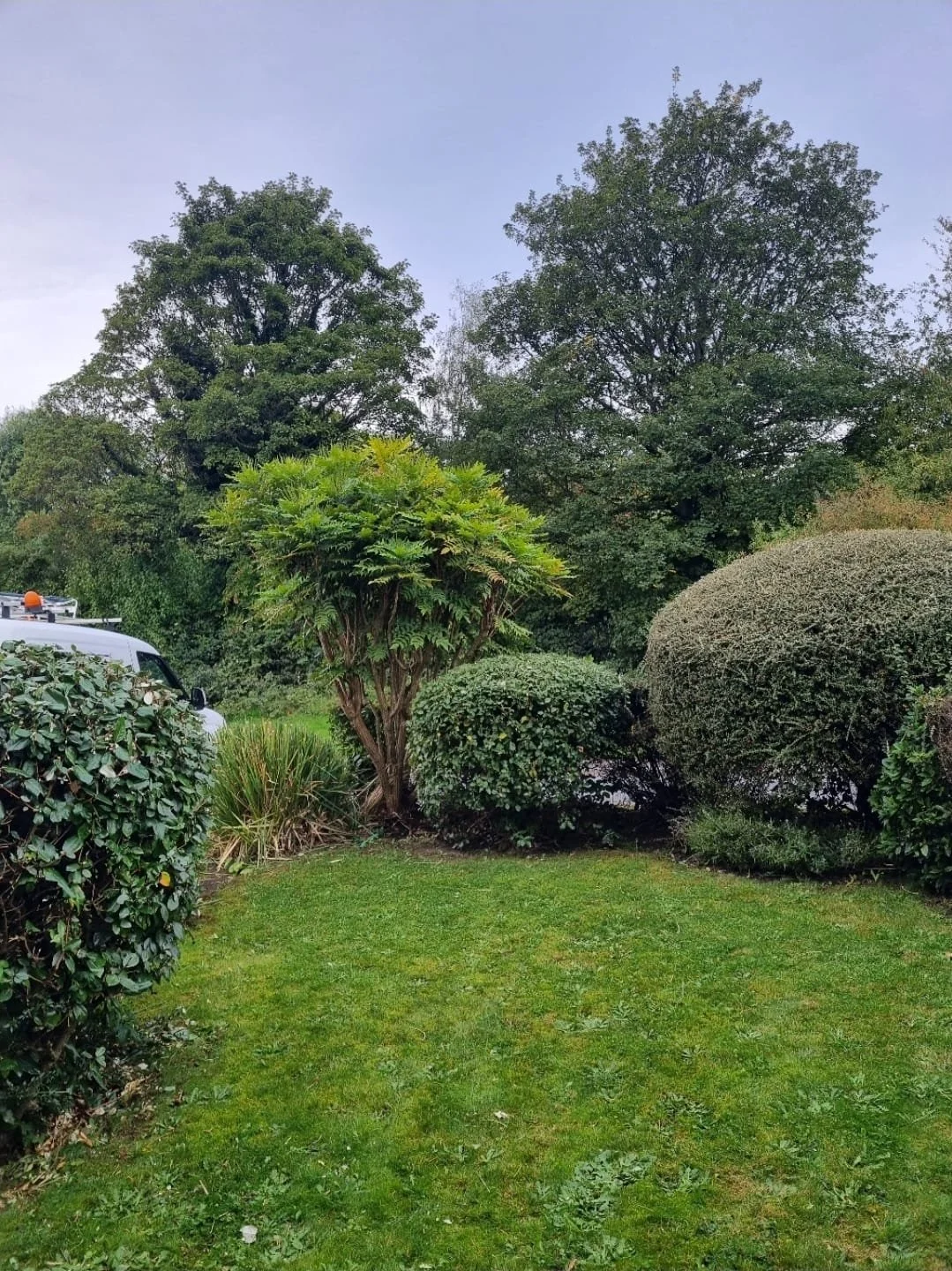 WhatsApp Image 2025-11-29 at 14.15.27 (1).jpeg