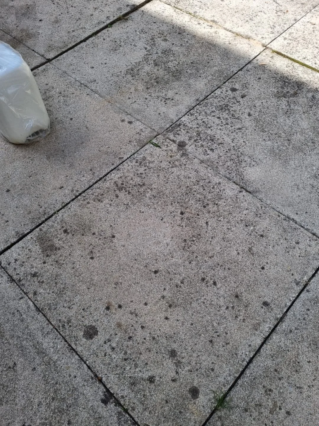 WhatsApp Image 2025-11-29 at 14.13.58.jpeg