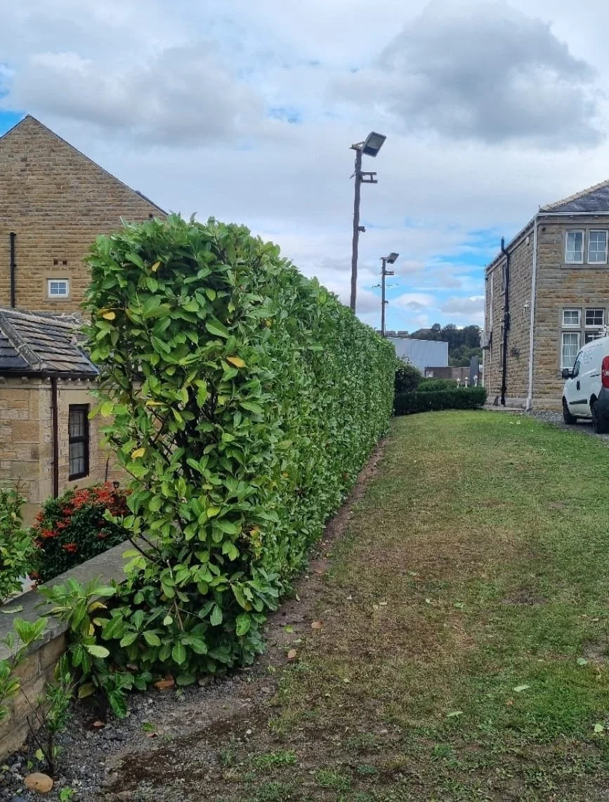 WhatsApp Image 2025-11-29 at 14.15.25 (11).jpeg